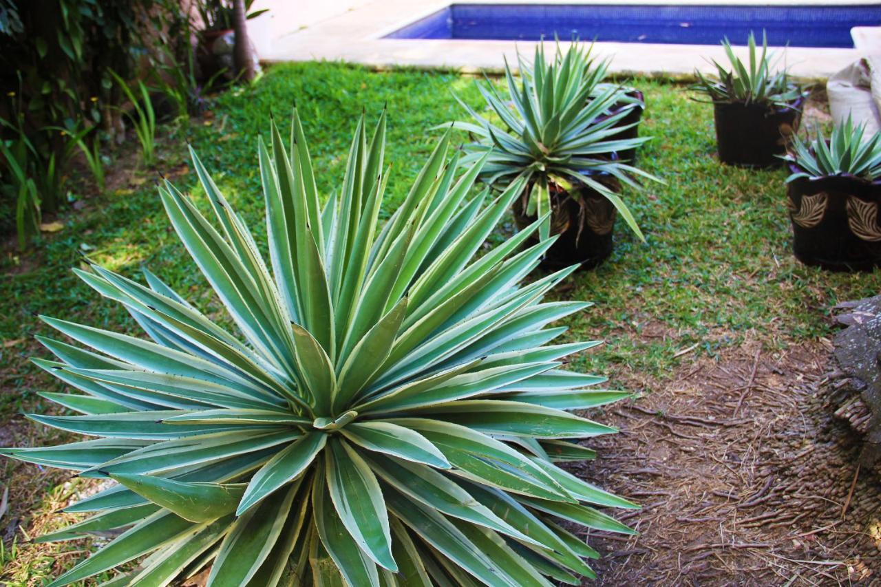 Amaxing Cancun Airport Zewnętrze zdjęcie